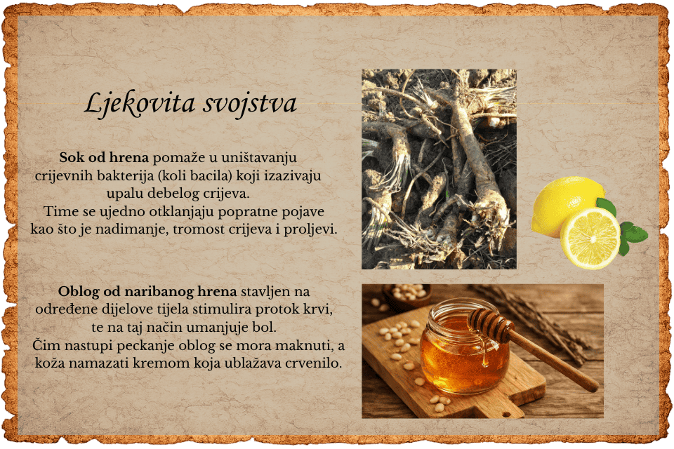 Katalog Page 4